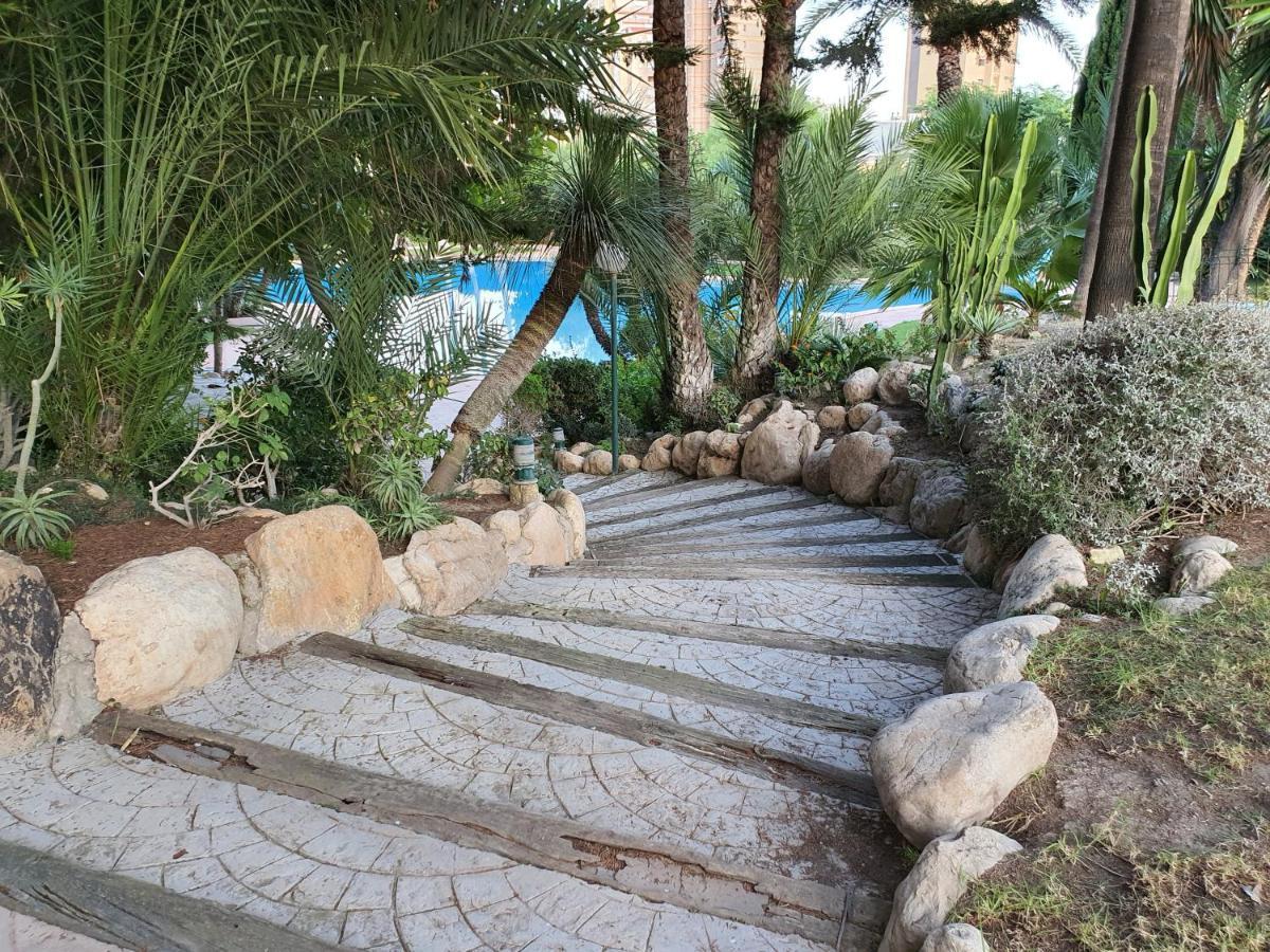 Appartement Coblanca 21 Benidorm