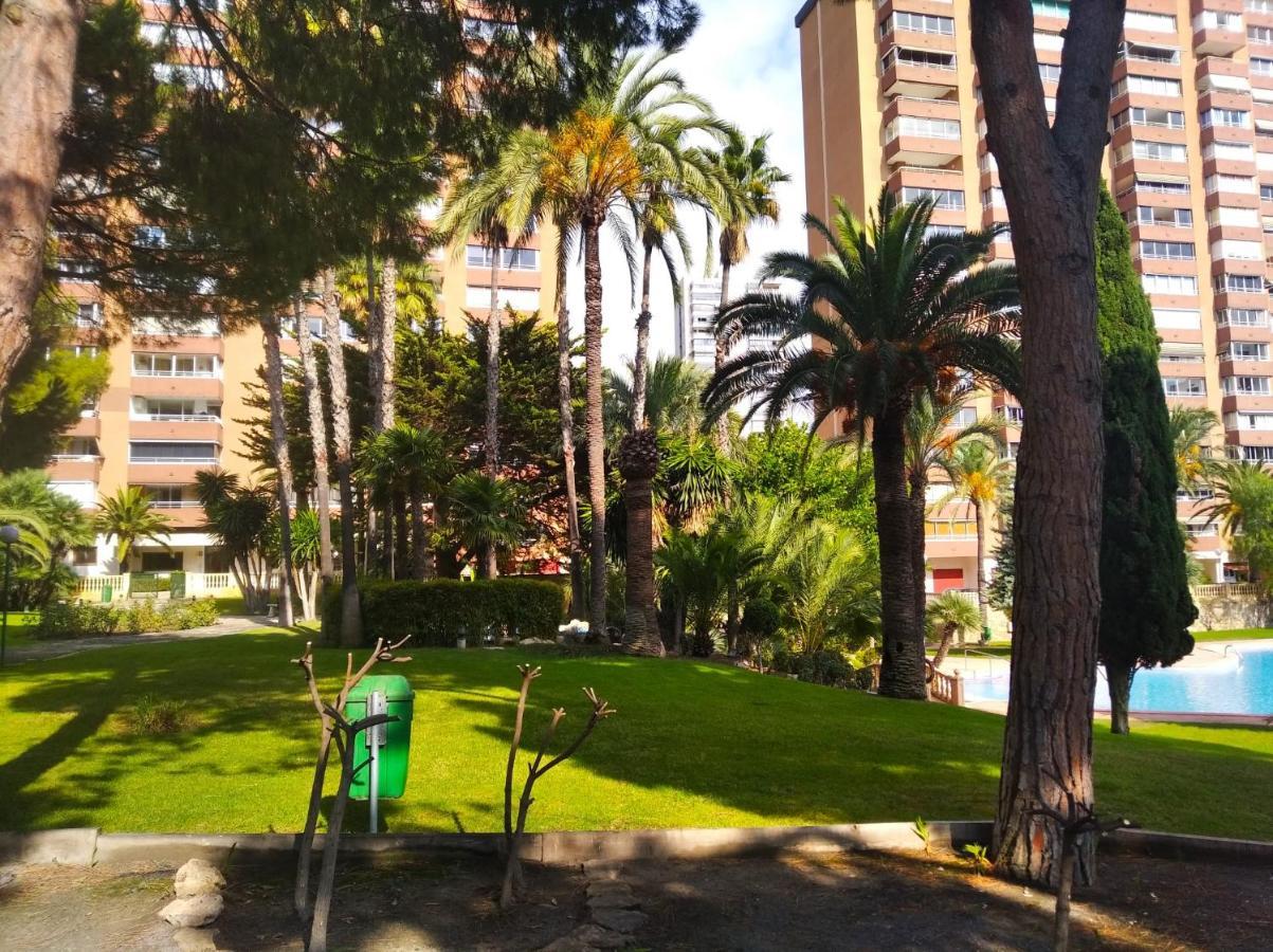 Apartamento Coblanca 21